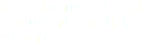 Desarrolle nuevas áreas de oportunidad o amplíe las ya existentes